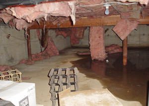 fiberglass insulation dripping off the ceiling of a crawl space in Tempe.