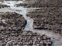 Water washing away mud and sediment in rainy weather.